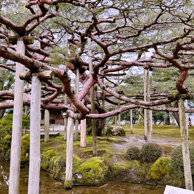 【兼六園】日本三名園のひとつ、四季折々の美しさが楽しめる