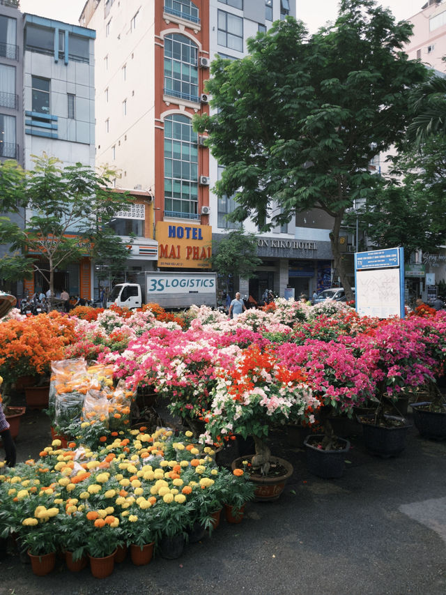 Trung Tam Thuong: A Hidden Gem of Spring Blooms