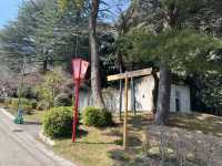 岐阜🇯🇵養老の滝