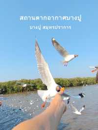 1 Day Trip เที่ยวบางปู สมุทรปราการ เที่ยวใกล้กรุง