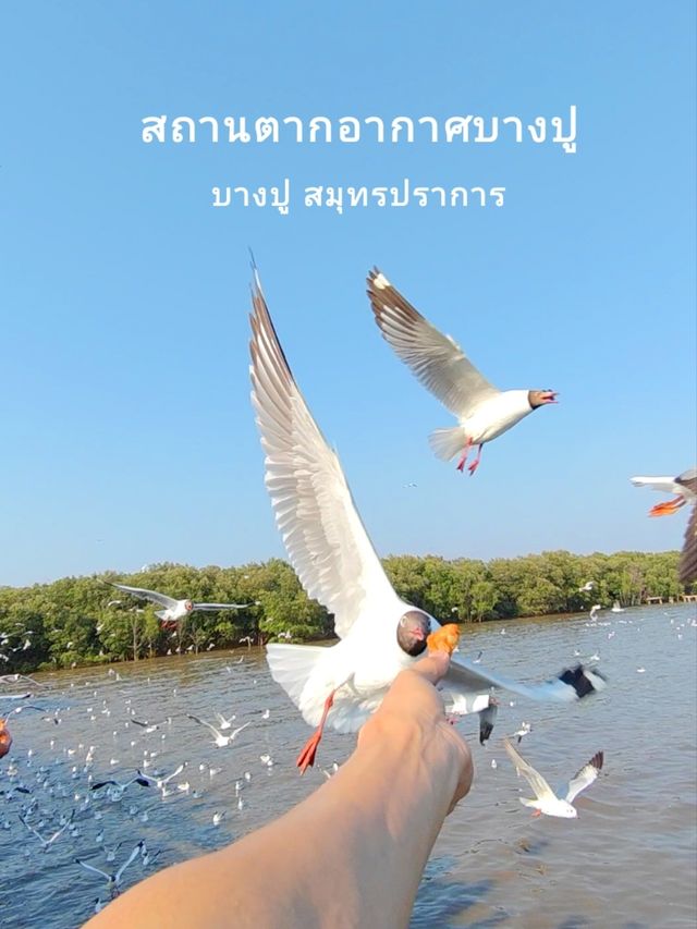 1 Day Trip เที่ยวบางปู สมุทรปราการ เที่ยวใกล้กรุง