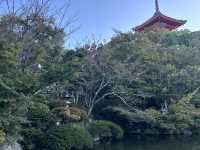歷史與美景的完美交融：探訪京都的清水寺