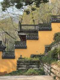 Love, Luck & Traffic Jams: How to Visit Lingyin Temple Like a Pro (Spoiler: Take the Bus!)