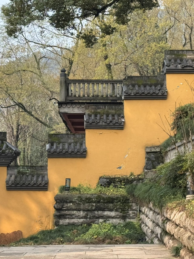 Love, Luck & Traffic Jams: How to Visit Lingyin Temple Like a Pro (Spoiler: Take the Bus!)