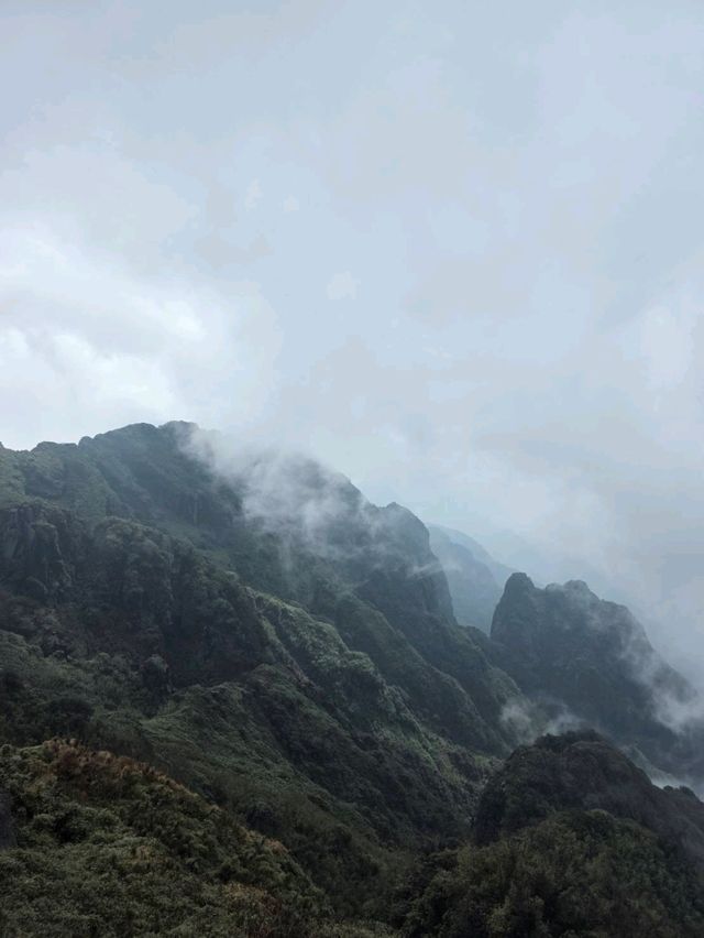 ซาปา (Sapa)
