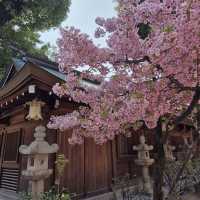 櫛田神社（Kushida Shrine）