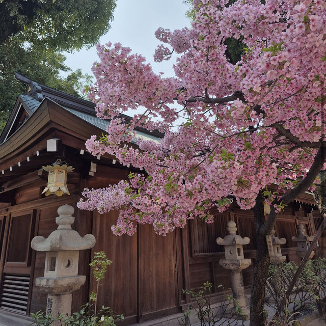 櫛田神社（Kushida Shrine）