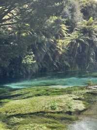 🇳🇿100 Years in the Making: Nature’s Purest Water from Blue Spring