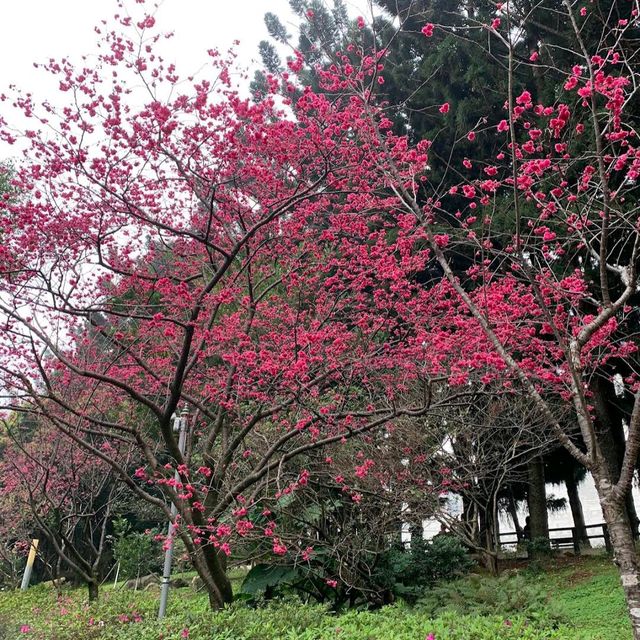 中正紀念堂