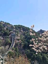 Mutianyu Greatwall worth to visit? 