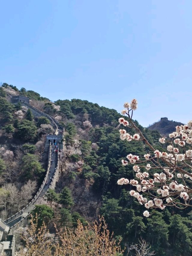 Mutianyu Greatwall worth to visit? 