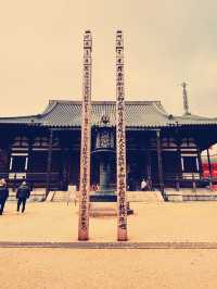 A Soulful Day Trip to Koyasan: A Journey Back to Peace 🧘‍♀️🌿