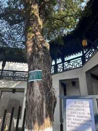 Mudu Ancient Town- The First Town in Wuzhong
