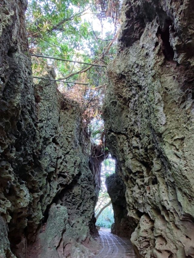 #社頂自然公園-屏東縣恆春鎮
