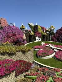 Bloom with Flowers in Spring! 