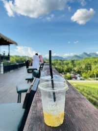 ไร่ชา 1000 ไมล์ – แวะพักชิมชา กาแฟ สไตล์ชิลๆ