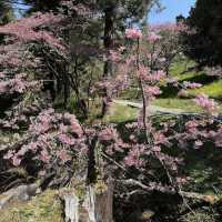 沼平公園 Zhaoping Park