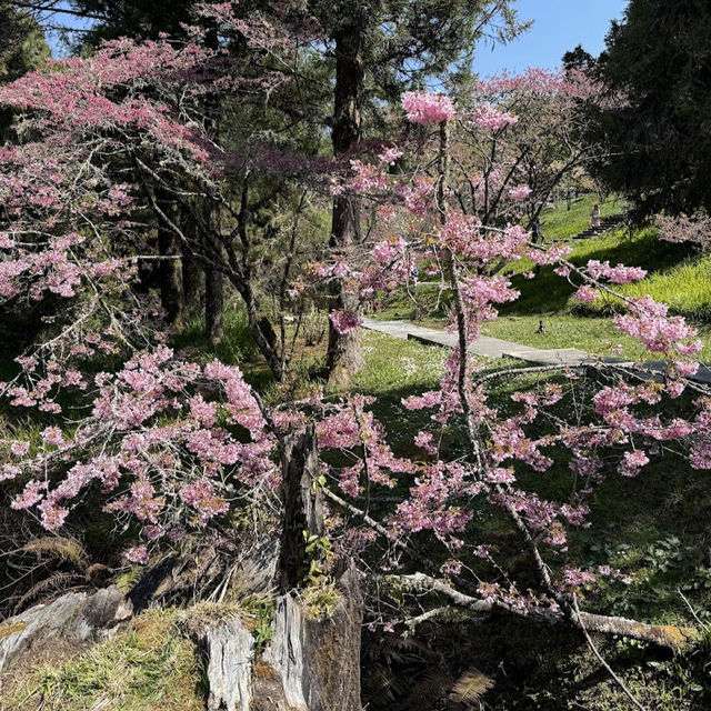 沼平公園 Zhaoping Park
