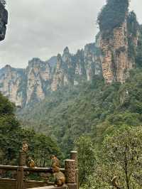 Zhangjiajie - no words to describe 