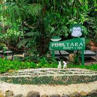 ร้านอาหาร และคาเฟ่ ท่ามกลางธรรมชาติ กระบี่