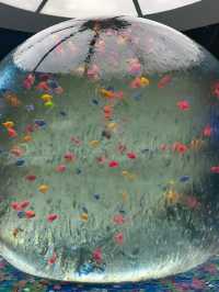 Aquaria KLCC
