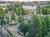 Find Your Senses: Exploring the Site of Reversible Destiny Yoro Park