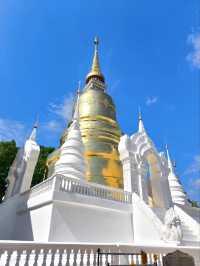 วัดสวนดอก 