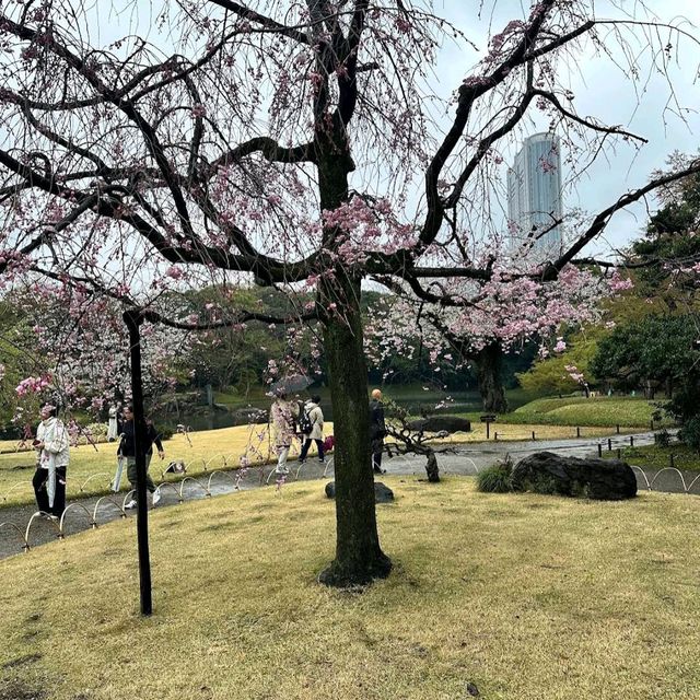 Koishikawa Korakuen Garden, Tokyo
