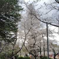 Mobara Park, Chiba