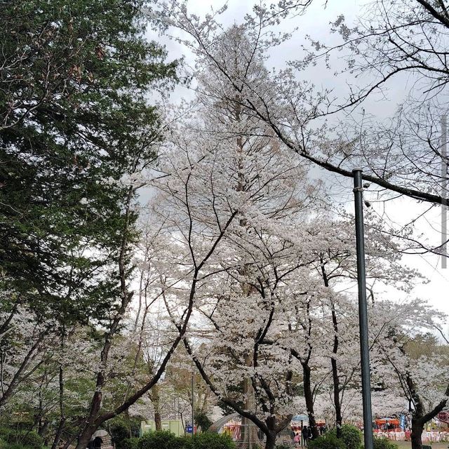 Mobara Park, Chiba