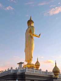 จุดชมวิวเขาคอหงส์