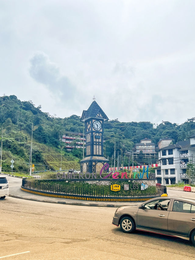 Most attractive place in Malaysia, Cool fresh air.