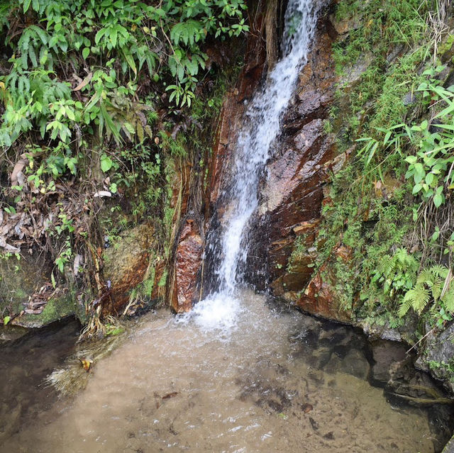 ⛰️ Gunung Raya: Conquer Langkawi’s Highest Peak (881m)