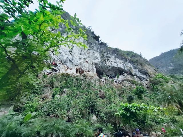 下龍灣一日遊本地Day Tour