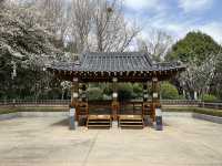 Yongdusan Park, Busan