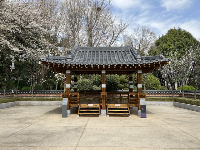 Yongdusan Park, Busan