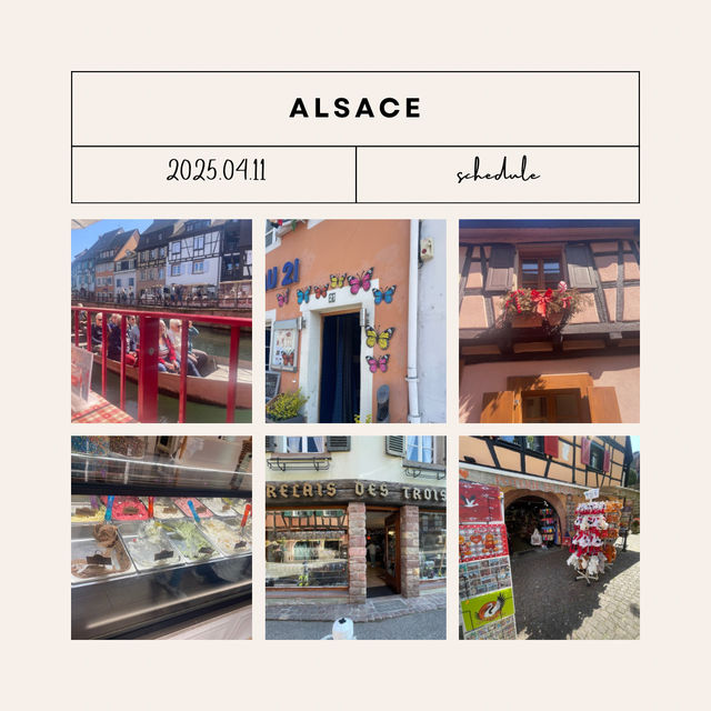 【アルザス地方🇫🇷】一日のスケジュール🗓