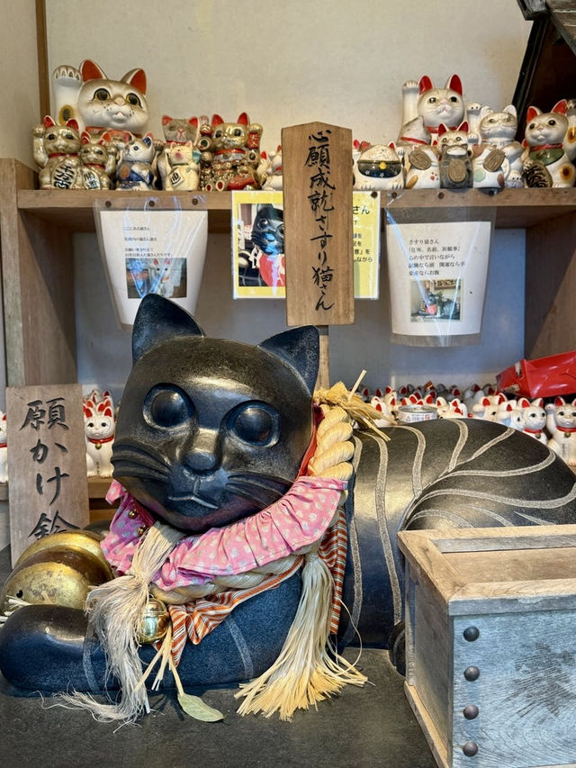 【徳島県】猫好きな方に必見の神社