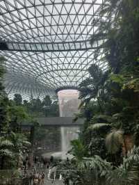 Jewel Changi Airport, SGP