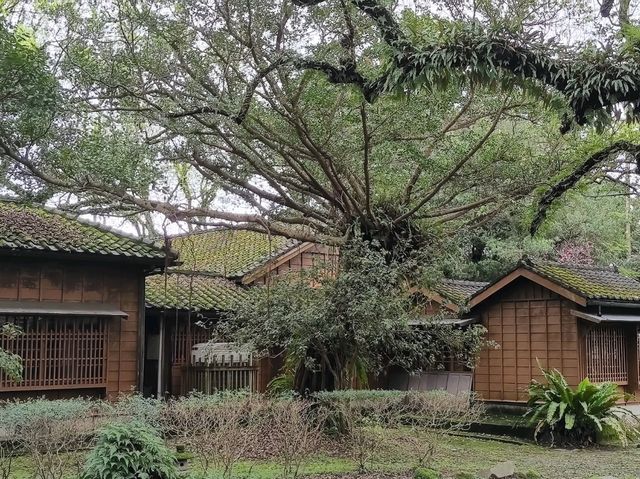 #宜蘭文學館-宜蘭縣宜蘭市
