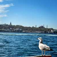 ต่อเครื่อง Istanbul ✈️ แวะเดินเล่นย่าน Taksim 🇹🇷