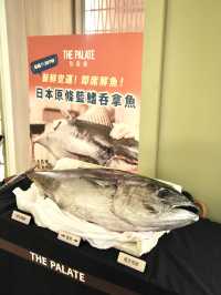 性價比好高酒店自助餐！仲有原條呑拿魚慶生一流