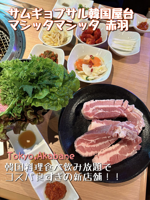 【東京🗼】韓国料理食べ飲み放題！コスパ最強赤羽NEW酒場🇰🇷