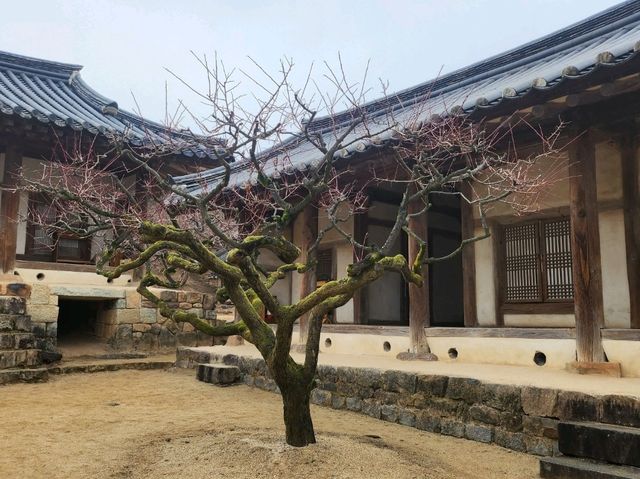유네스코가 인정한 세계문화유산