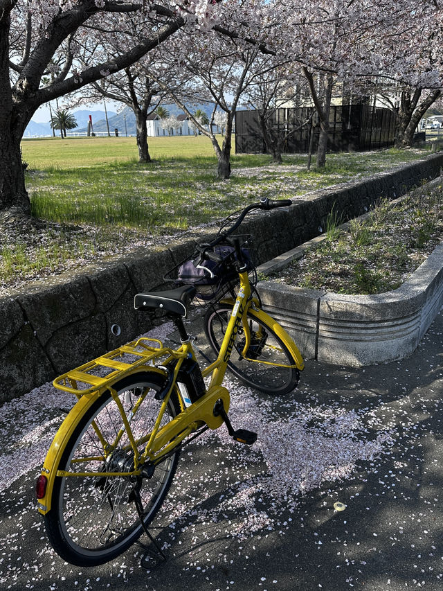 島波海道-尾道到今治的自行車道