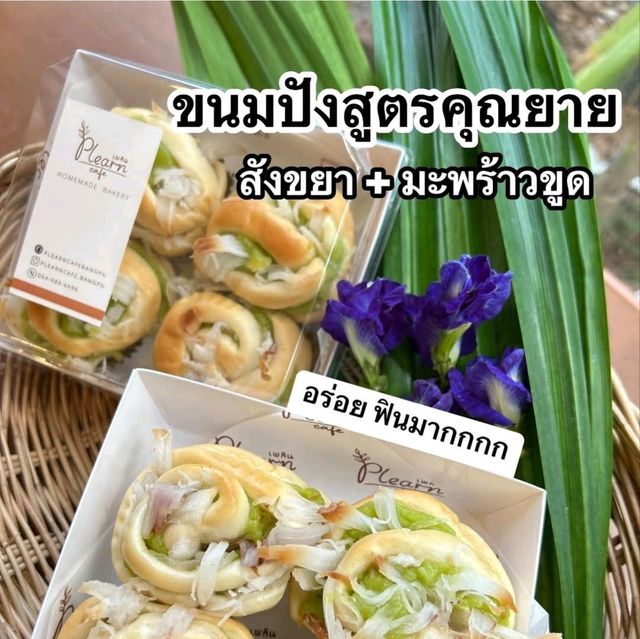 บางปูไม่ได้มีแค่นกนางนวล📸สายถ่ายรูปคอแฟไม่ควรพลาด