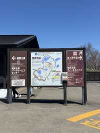 【世界遺産】知床五湖・高架木道で絶景散策！