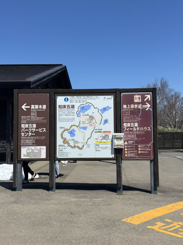 【世界遺産】知床五湖・高架木道で絶景散策！