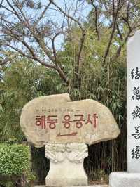 부산 기장에서 꼭 가봐야할 바다 앞 사찰 해동용궁사🫶