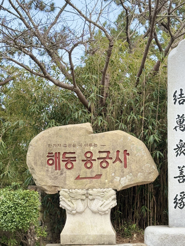 부산 기장에서 꼭 가봐야할 바다 앞 사찰 해동용궁사🫶